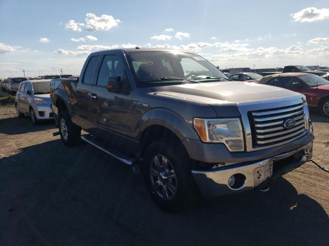 FORD F150 SUPER 2010 1ftfx1ev9afd65288