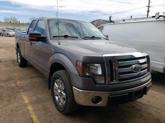 FORD F150 SUPER 2010 1ftfx1evxafa93138