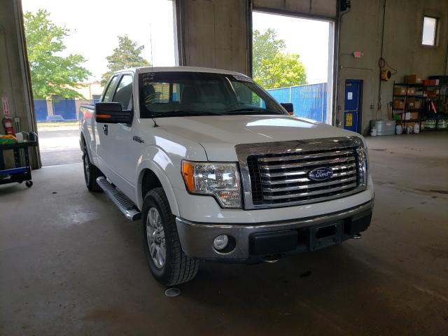 FORD F150 SUPER 2010 1ftfx1evxafc06120