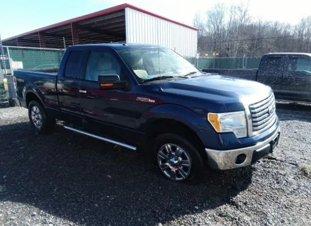 FORD F150 SUPER 2010 1ftfx1evxafd09831