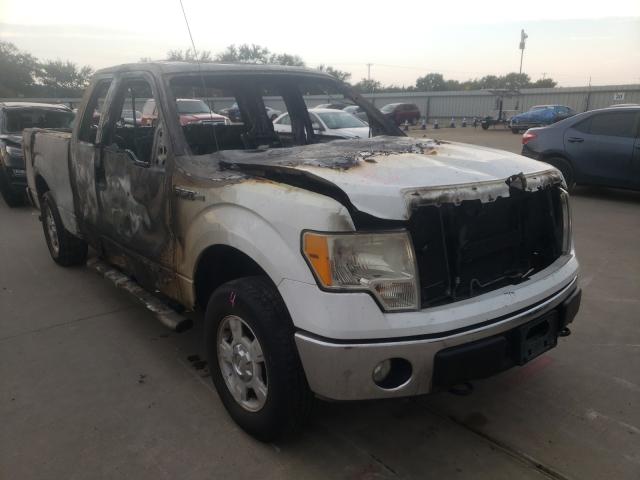 FORD F150 SUPER 2010 1ftfx1evxafd35796