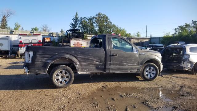 FORD F150 2019 1ftmf1c50kkd59322