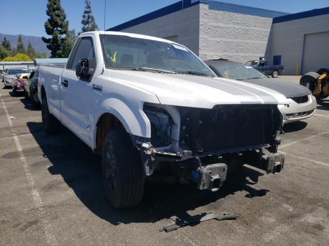 FORD F150 2019 1ftmf1c50kkd93180