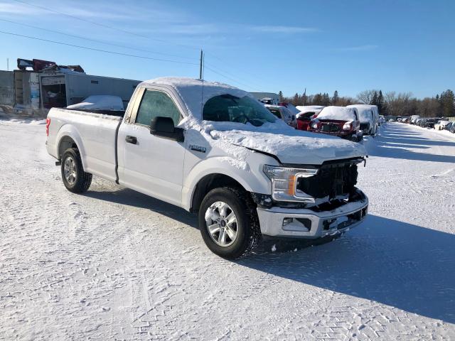 FORD F150 2019 1ftmf1c55kkd59381