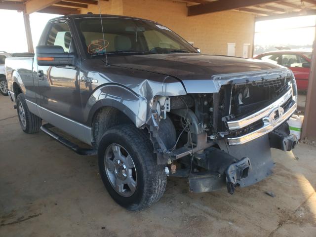 FORD F150 2013 1ftmf1cf3dfa46110