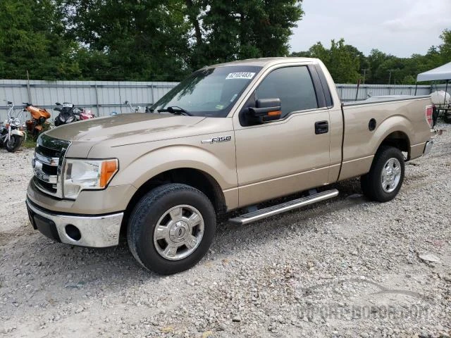 FORD F-150 2014 1ftmf1cf3ekf46955