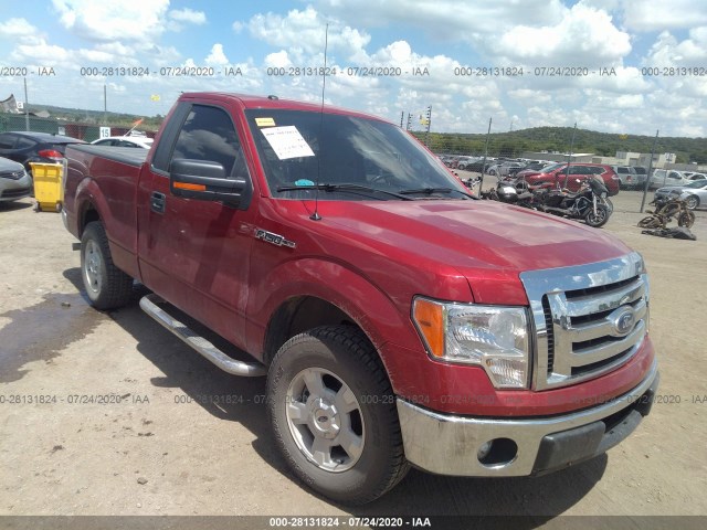 FORD F-150 2011 1ftmf1cf6bfd09705