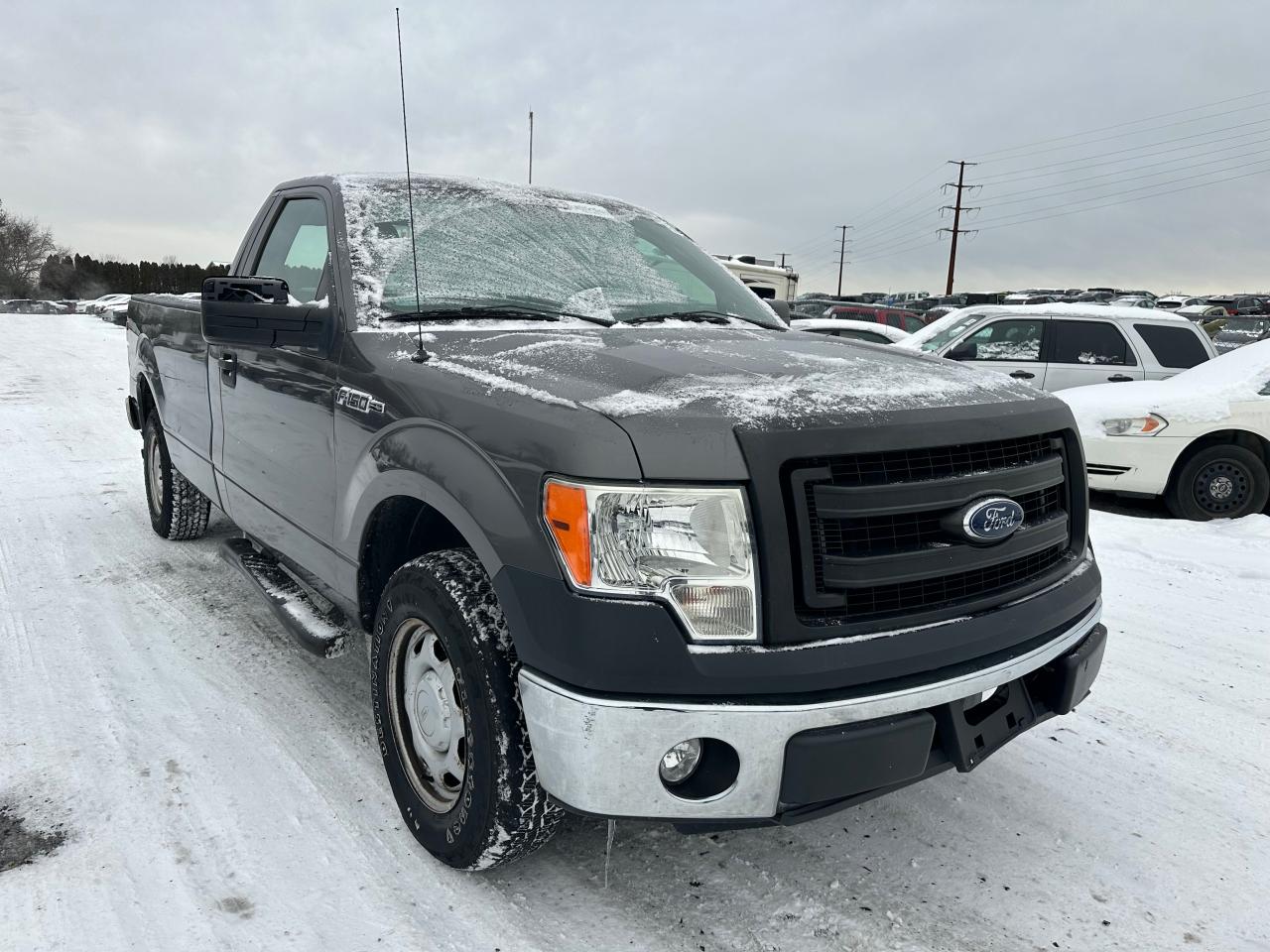 FORD F-150 2013 1ftmf1cm0dkd89530