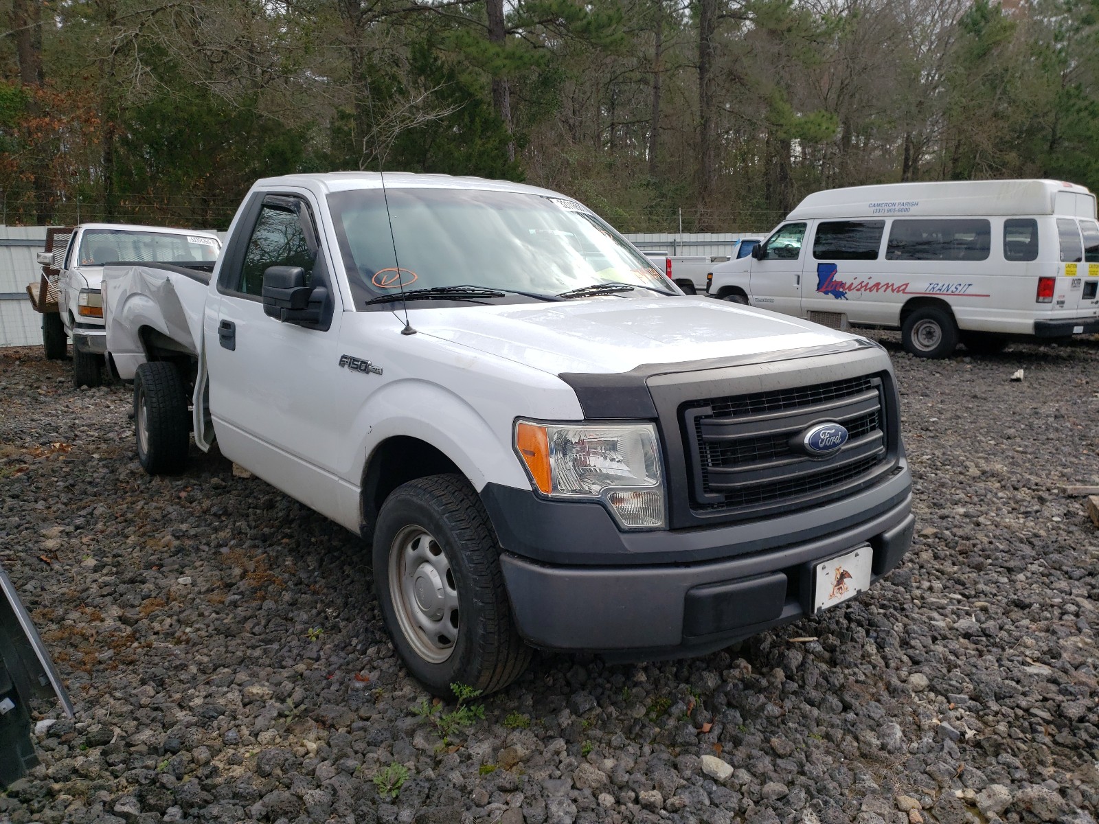 FORD F150 2014 1ftmf1cm0ekf95254