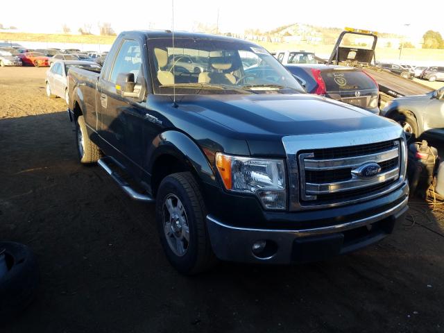 FORD F150 2013 1ftmf1cm1dfd53063