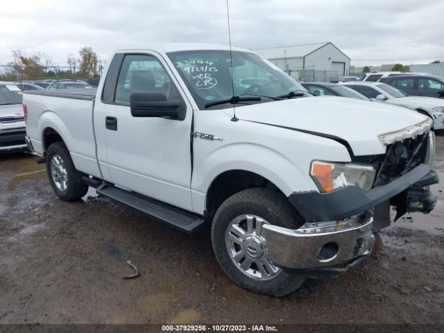 FORD F-150 2013 1ftmf1cm2dkd61356