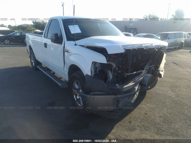 FORD F-150 2013 1ftmf1cm2dkd84281