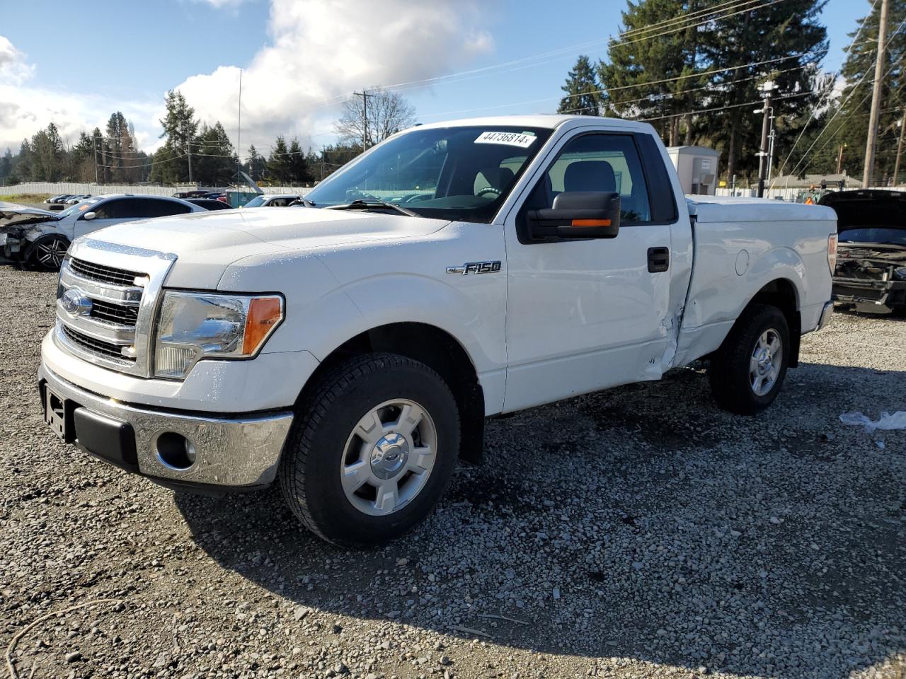 FORD F-150 2013 1ftmf1cm2dkg52777