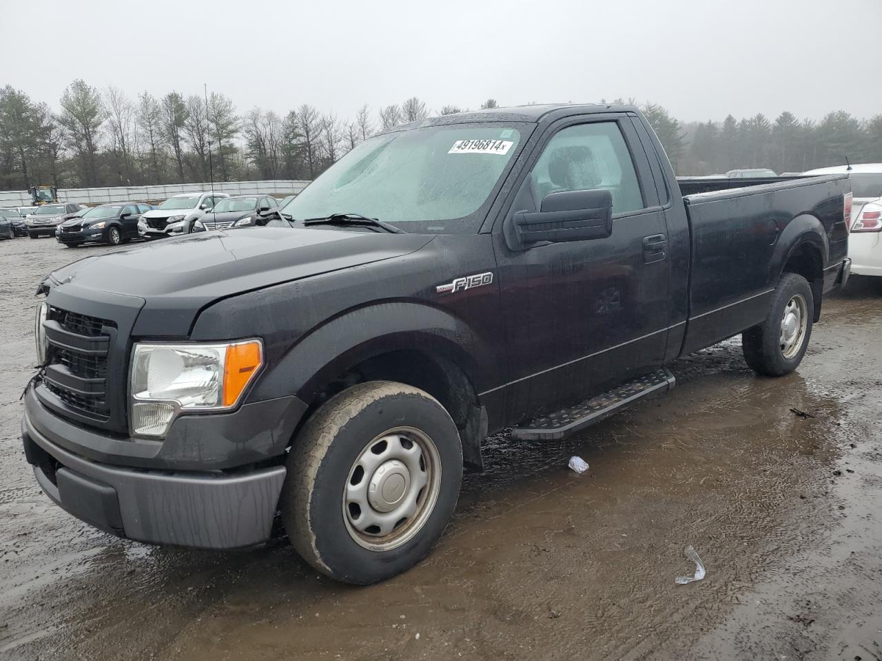 FORD F-150 2013 1ftmf1cm3dkg42209