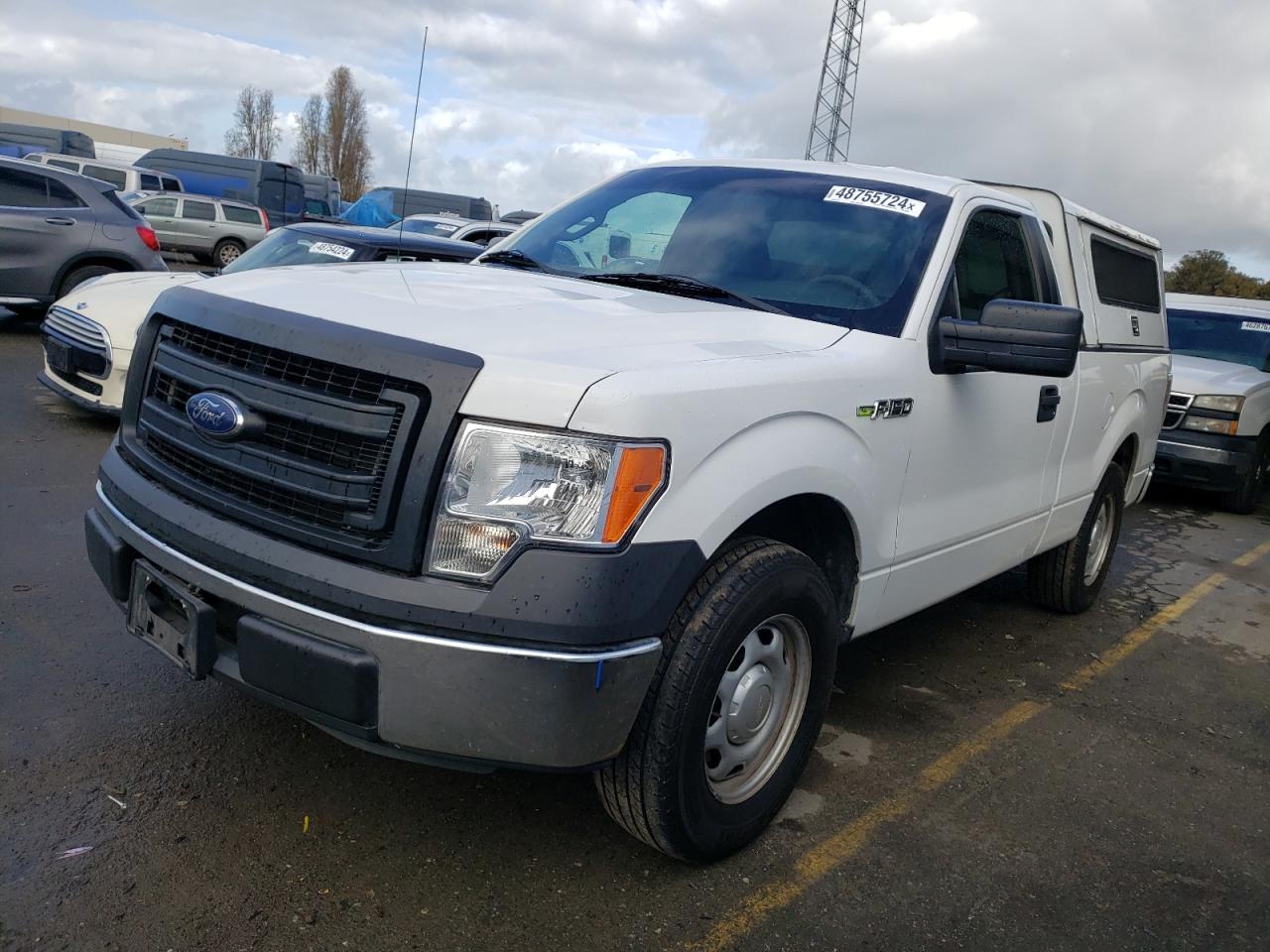 FORD F-150 2014 1ftmf1cm3efa31087