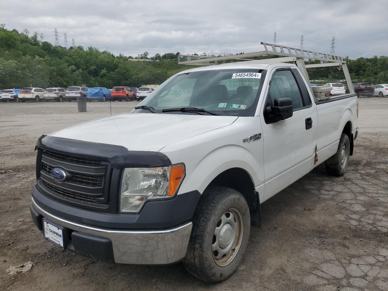 FORD F-150 2014 1ftmf1cm3eke88215