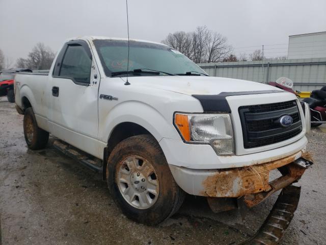 FORD F150 2013 1ftmf1cm5dke43114