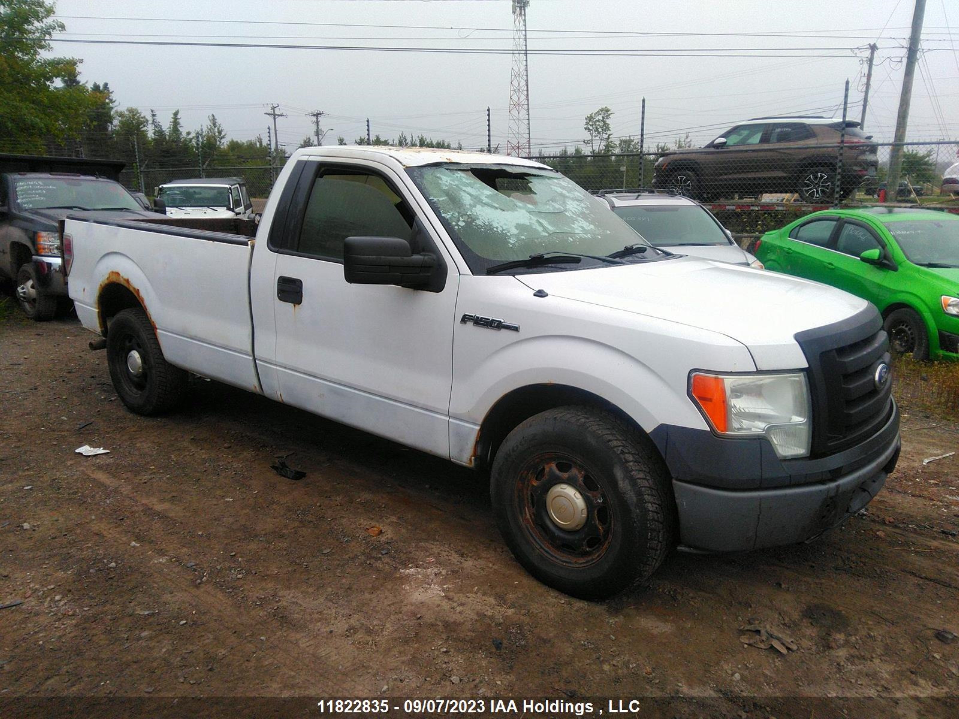 FORD F-150 2011 1ftmf1cmxbkd14816