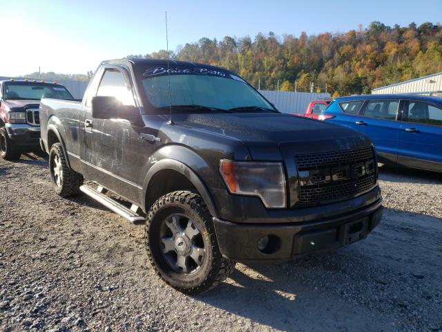 FORD F150 2010 1ftmf1e81afc34487