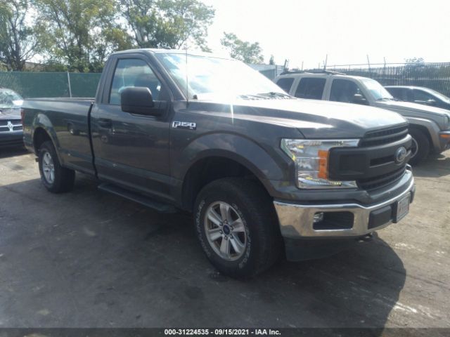 FORD F-150 2019 1ftmf1eb5kkc64029