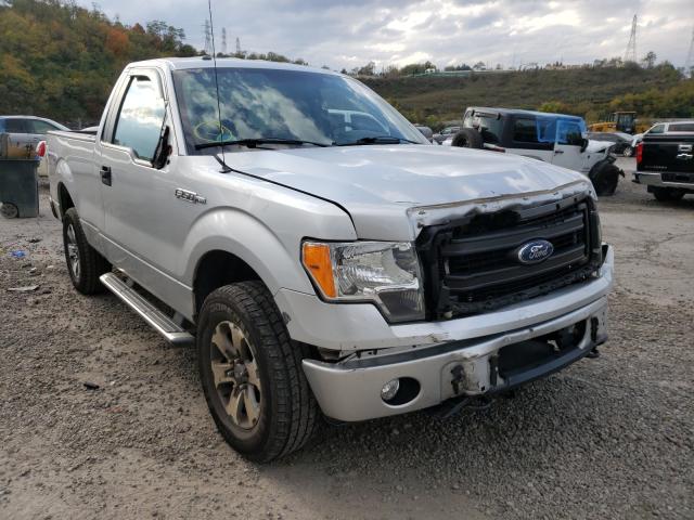 FORD F150 2013 1ftmf1ef2dfa66197