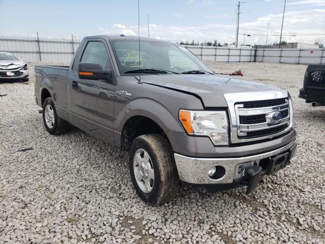 FORD F150 2014 1ftmf1ef2efa46579