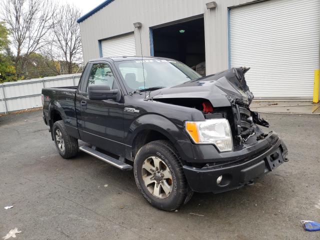 FORD F150 2013 1ftmf1ef3dfc68434