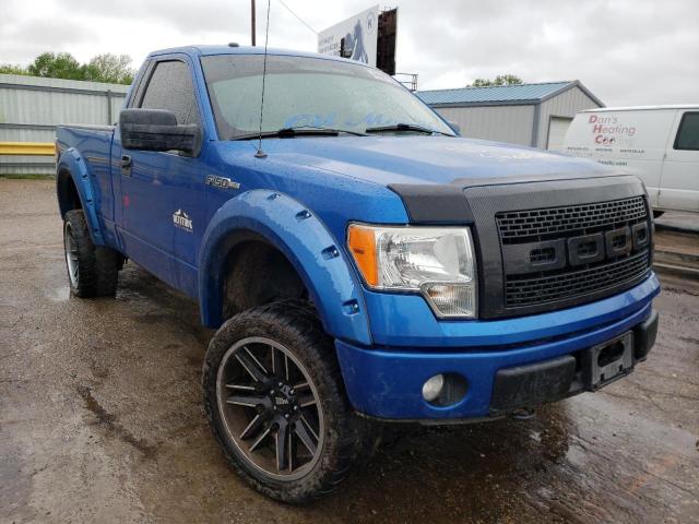 FORD F150 2014 1ftmf1ef3efa62290