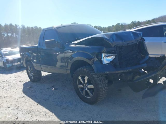 FORD F-150 2013 1ftmf1ef4dfa49899