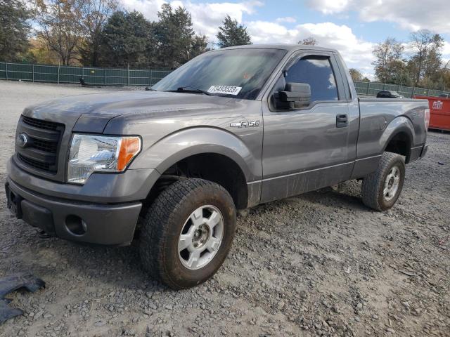 FORD F-150 2014 1ftmf1ef7efb07005