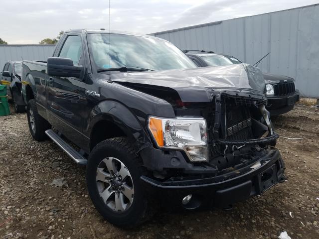 FORD F150 2013 1ftmf1ef8dfd78346