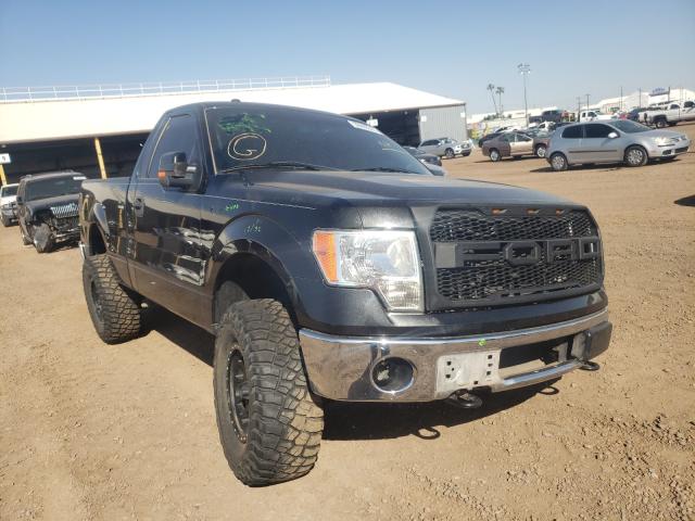 FORD F150 2013 1ftmf1efxdfb03612