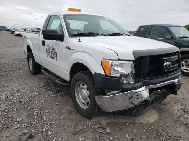 FORD F150 2013 1ftmf1em0dfb84554