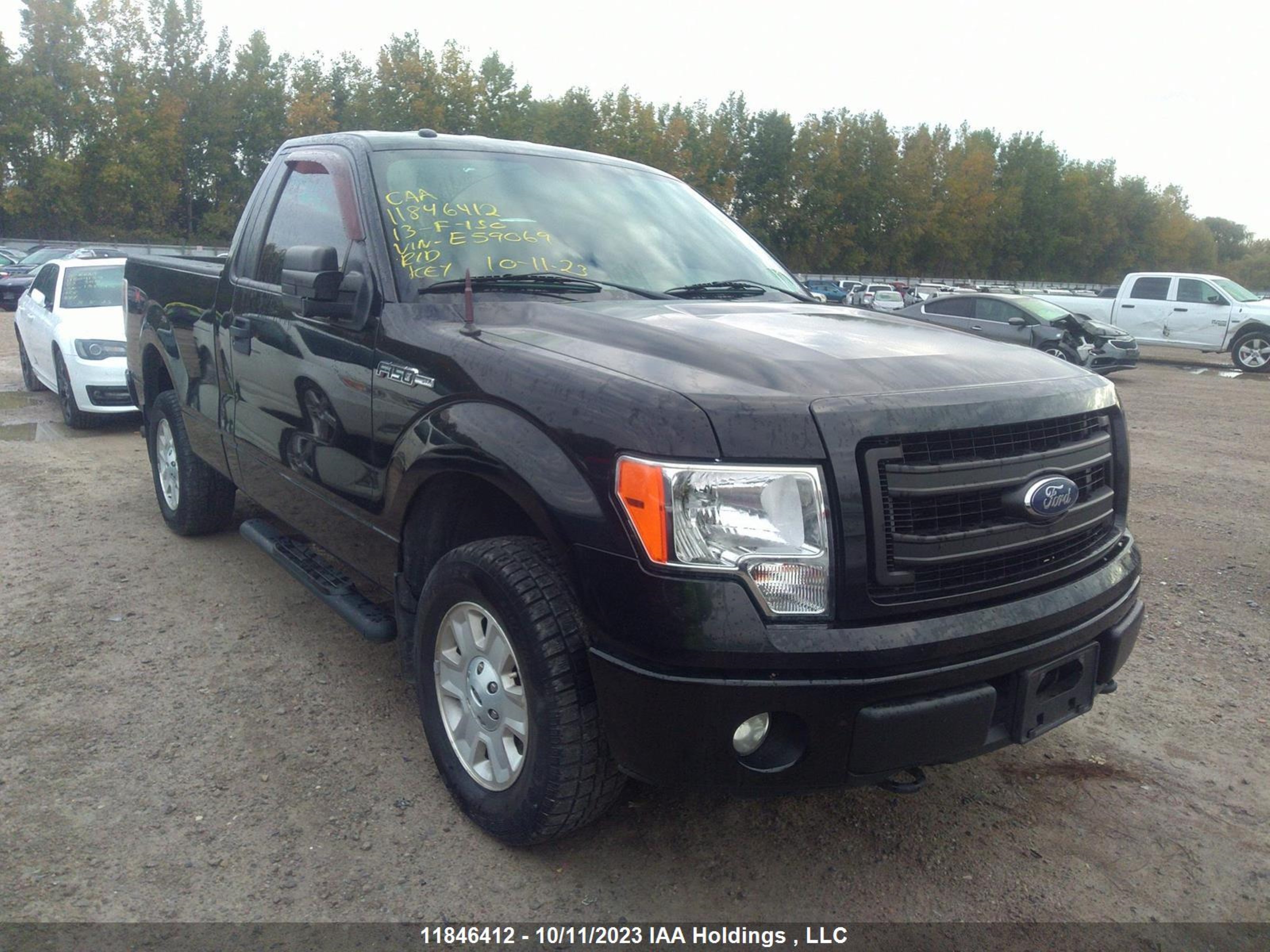 FORD F-150 2013 1ftmf1em0dke59069