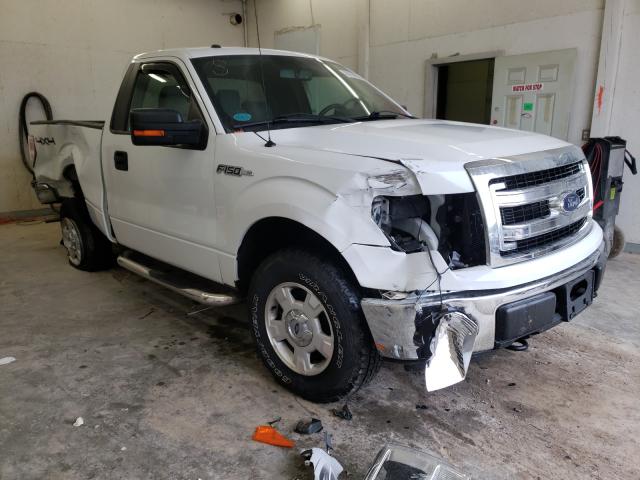 FORD F150 2013 1ftmf1em1dfd08430