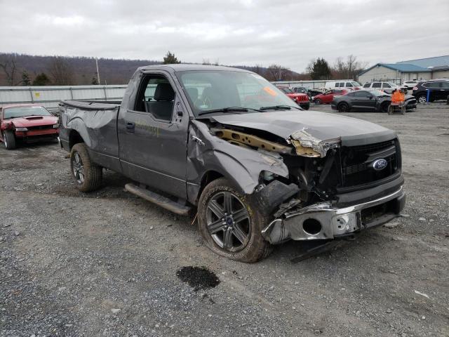 FORD F150 2013 1ftmf1em2dkf30272