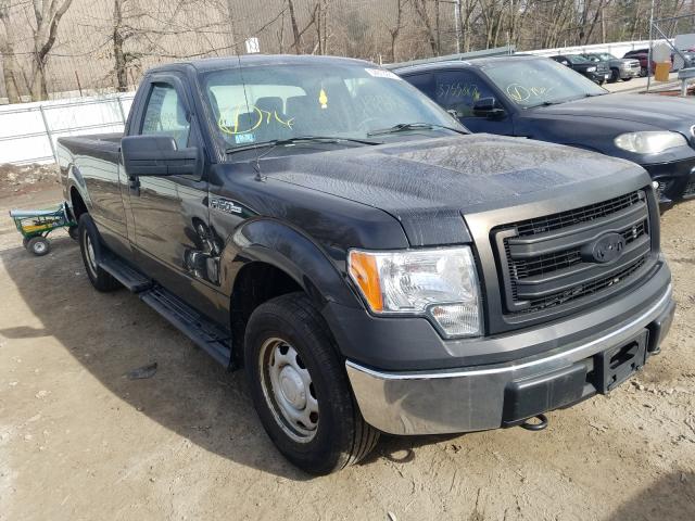 FORD F150 2013 1ftmf1em5dkg37087