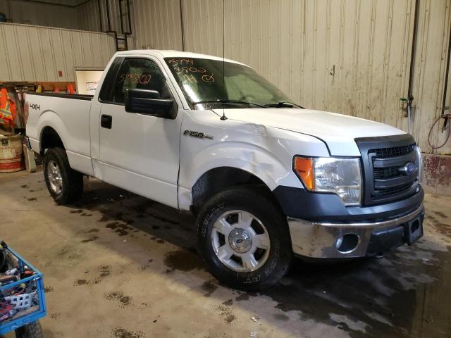 FORD F-150 2014 1ftmf1em6efb96466