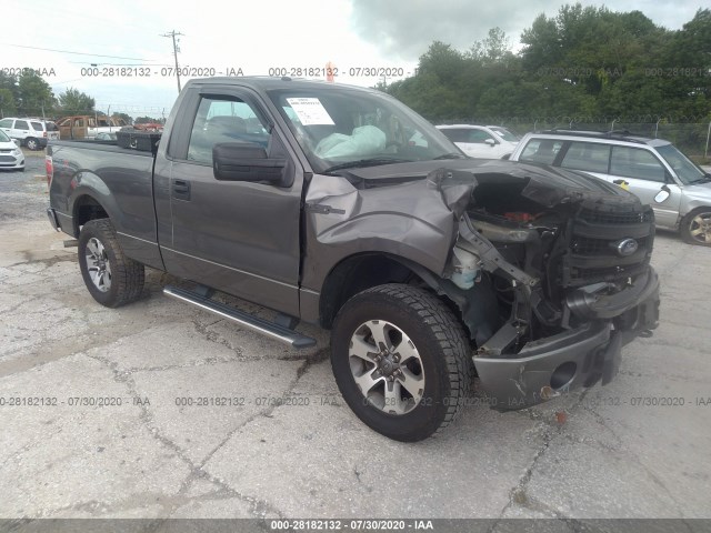 FORD F-150 2014 1ftmf1em6efc83932