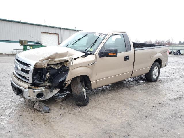 FORD F150 2013 1ftmf1em7dkf83842