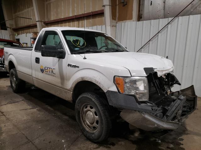 FORD F150 2014 1ftmf1emxekd07317