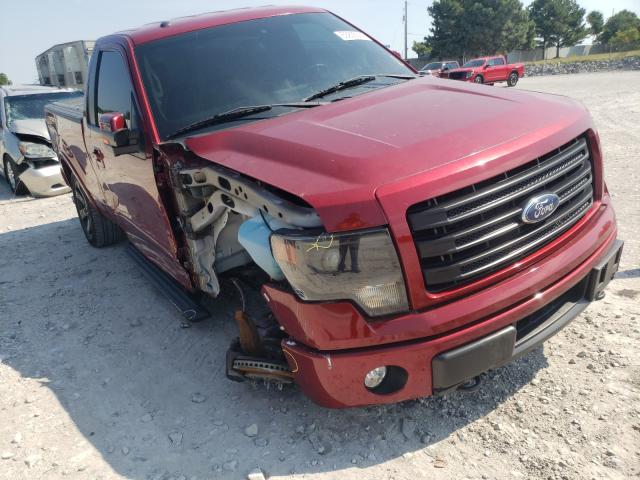 FORD F150 2014 1ftmf1et1efa54534