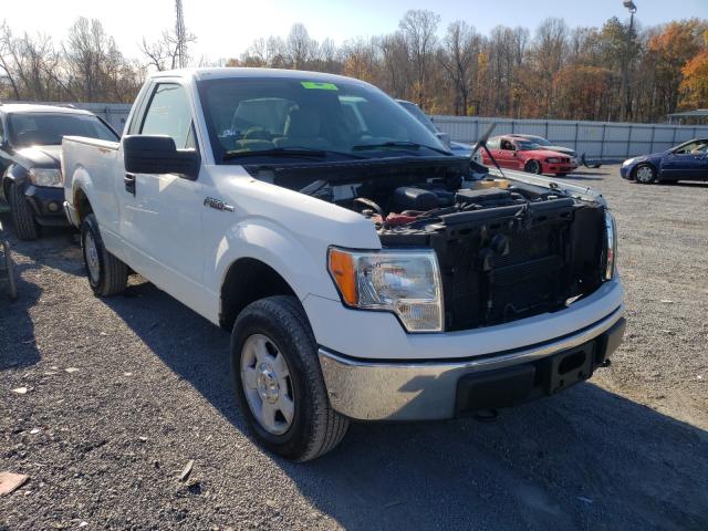 FORD F150 2010 1ftmf1ev5aka76975