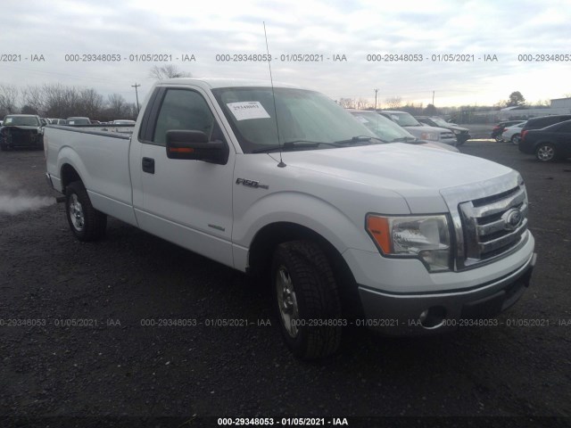 FORD F-150 2011 1ftnf1ct4bkd72996