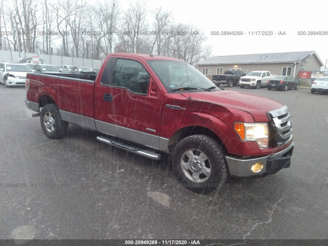 FORD F-150 2011 1ftnf1ct9bkd50766