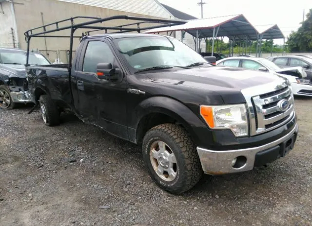 FORD F-150 2011 1ftnf1ef1bkd08387