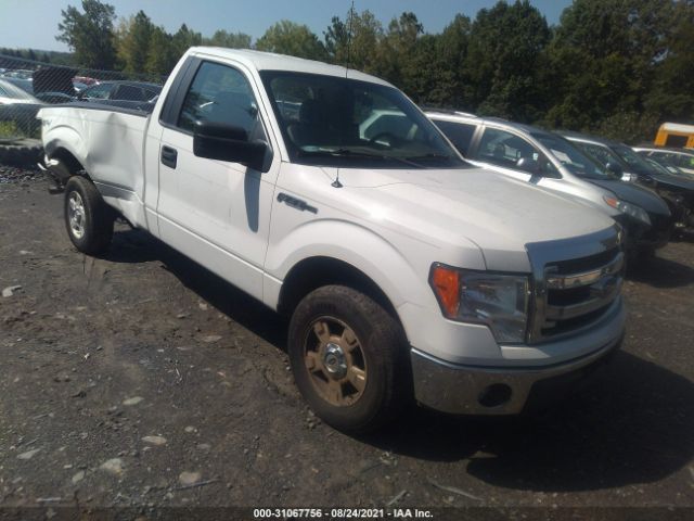 FORD F-150 2014 1ftnf1ef3ekd49141