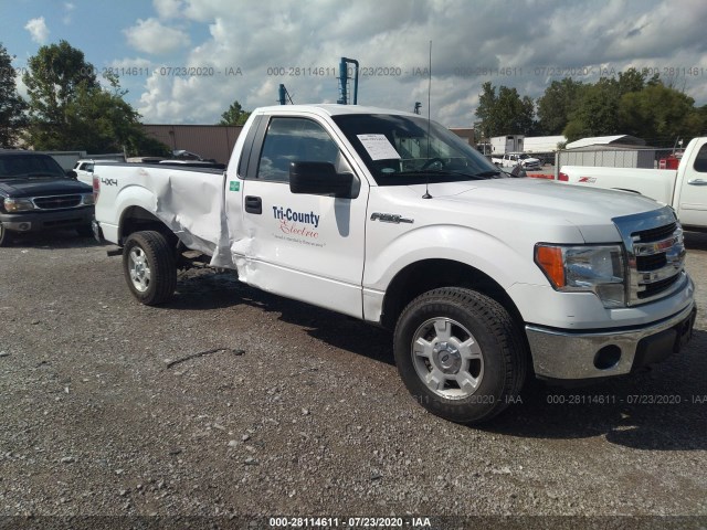 FORD F-150 2014 1ftnf1ef5ekg08051