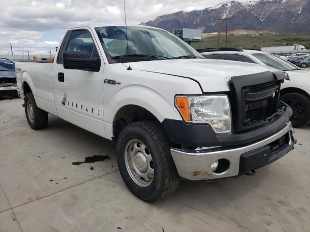 FORD F150 2014 1ftnf1ef6ekd33676