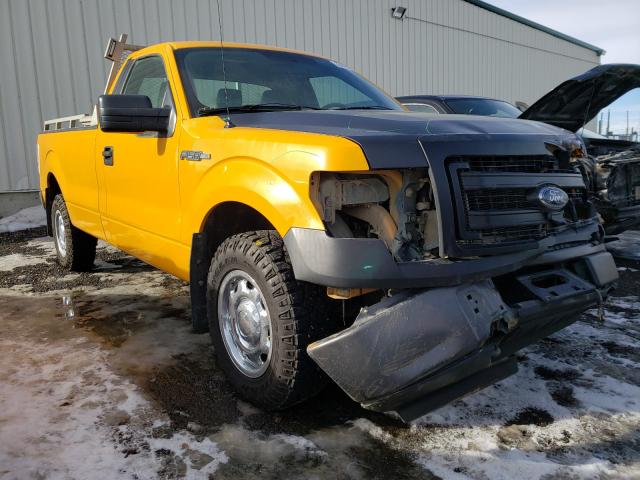 FORD F150 2013 1ftnf1ef8dkd97569